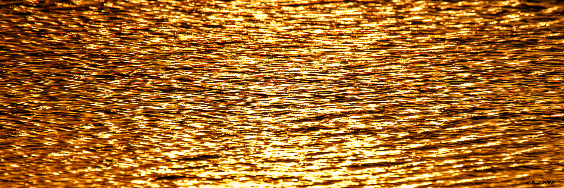 5041 - Reflets dorés